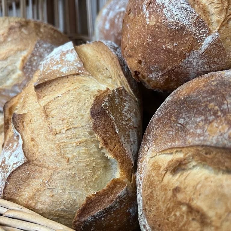 306744326_600730174865510_1251520275736131958_n